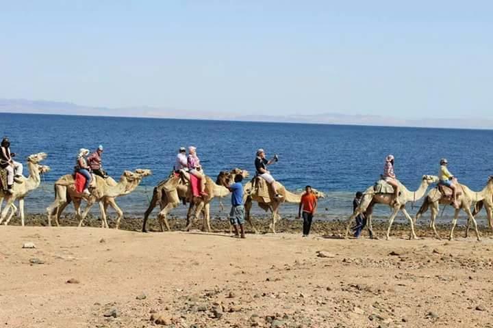 Sea Soul Hotel Dahab Buitenkant foto